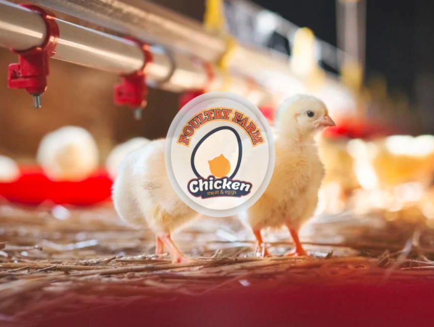 Poultry Farm Management System